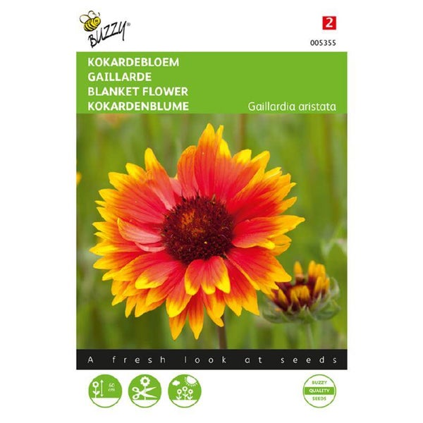 Buzzy® Gaillardia, Kokardebloem