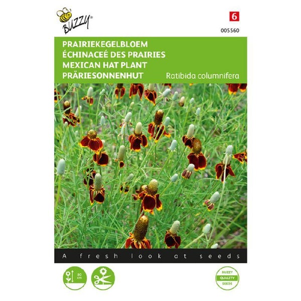 Buzzy® Ratibida, Prairiekegelbloem