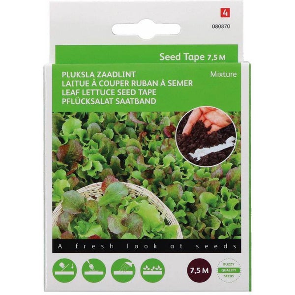 Buzzy® Zaadband Pluksla gemengd