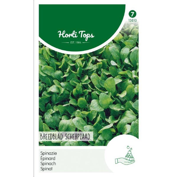 Spinazie Breedblad Scherpzaad, 250g