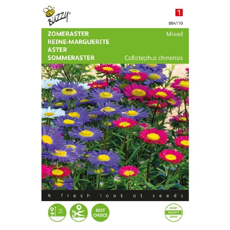 Buzzy® Callistephus, Zomeraster gemengd