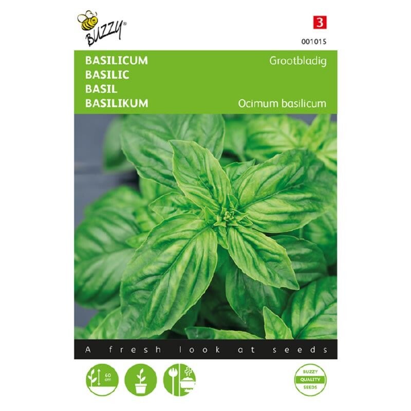 Buzzy® Basilicum Grootbladig