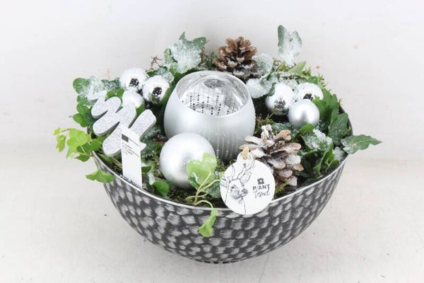 kerst arr