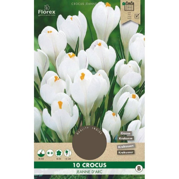 Crocus Jeanne D'Arc 8/9 10st.