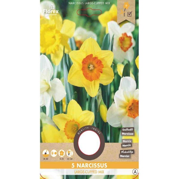Narcis Grootkronig mix 12/14 5st.