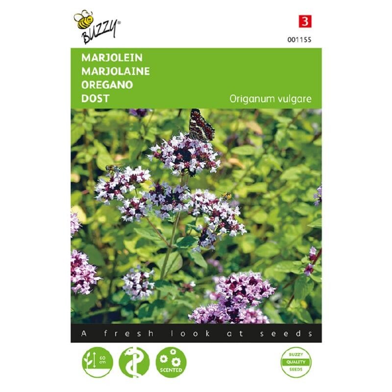 Buzzy® Marjolein - Oregano