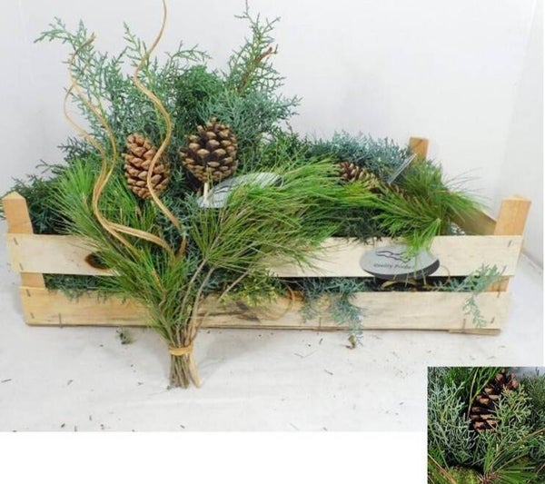 Kerstgroen bos mix