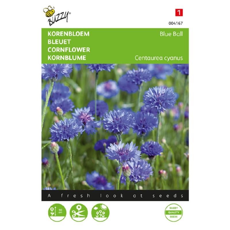 Buzzy® Centaurea, Korenbloem Blue Ball dubbelbloemig