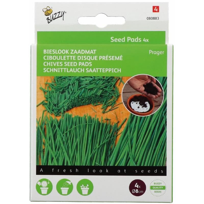Buzzy® Seedpads Bieslook Prager 4x 8cm
