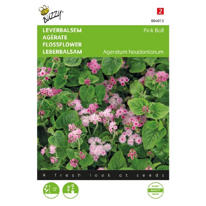 Buzzy® Ageratum, Leverbalsem Pink Ball
