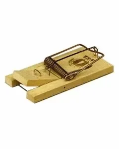 Hendrik Jan muizenval hout (2x)