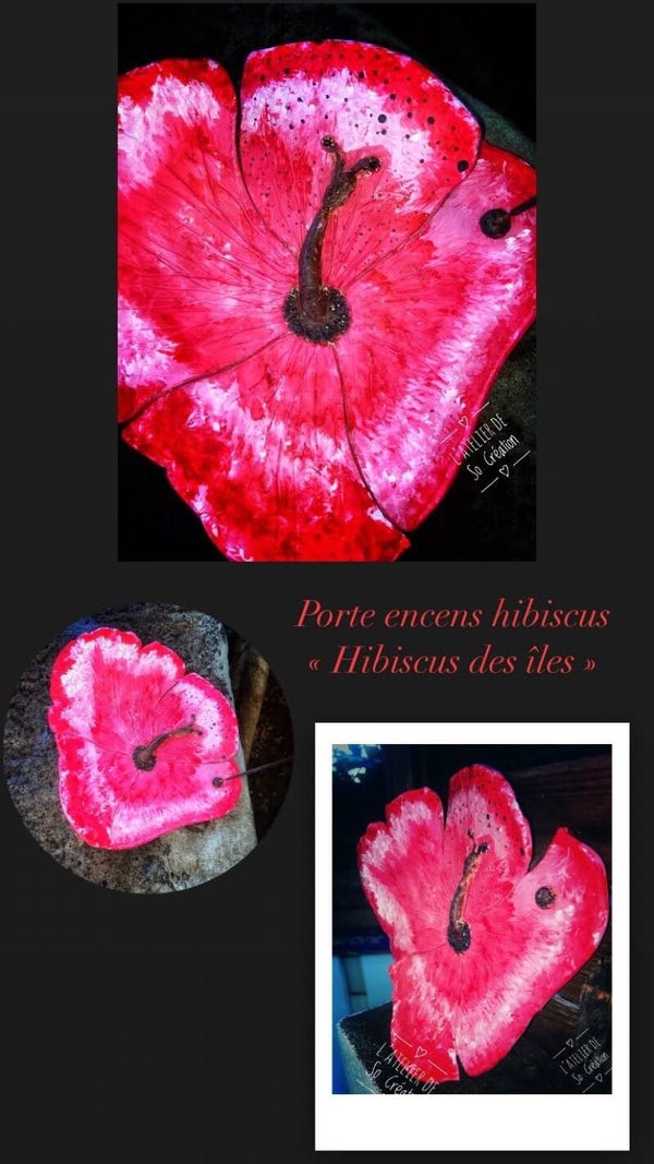 Hibiscus des îles
