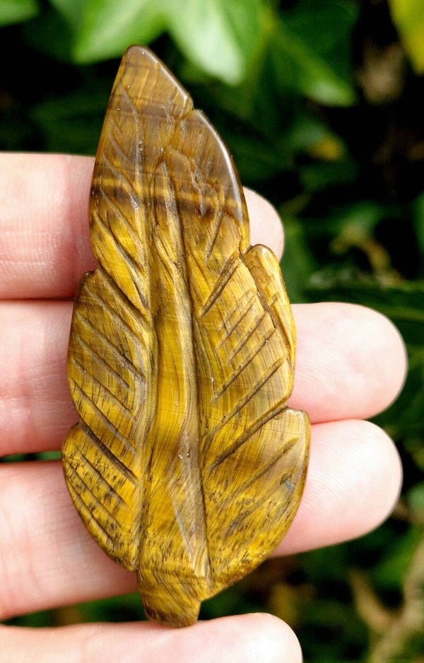 Tigers Eye Feather