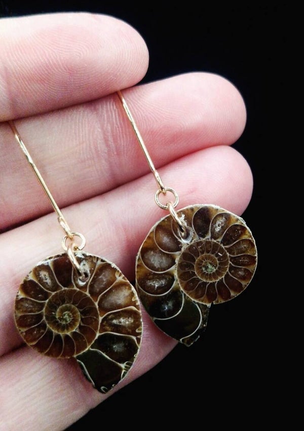 Ammonite Earrings