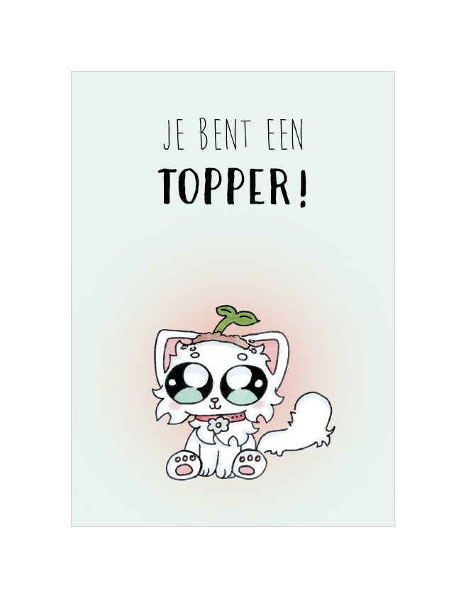 Wenskaart JE BENT EEN TOPPER!