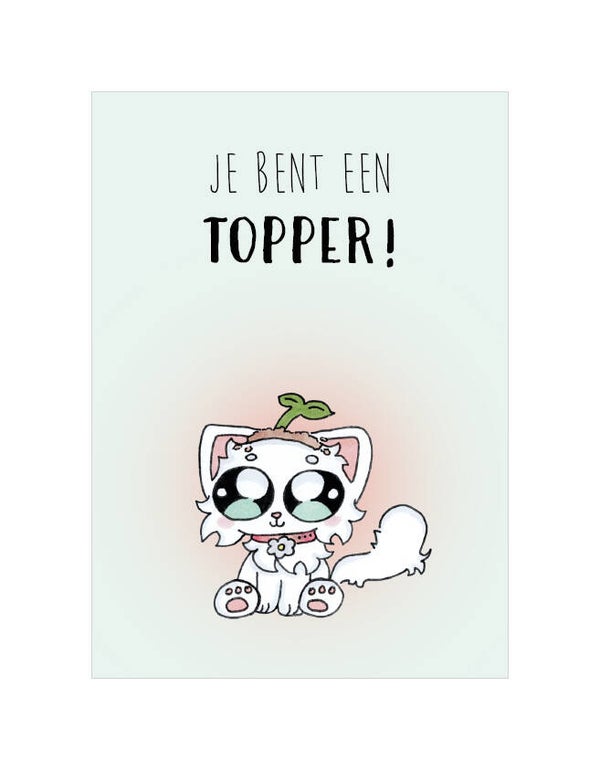 Wenskaart JE BENT EEN TOPPER!