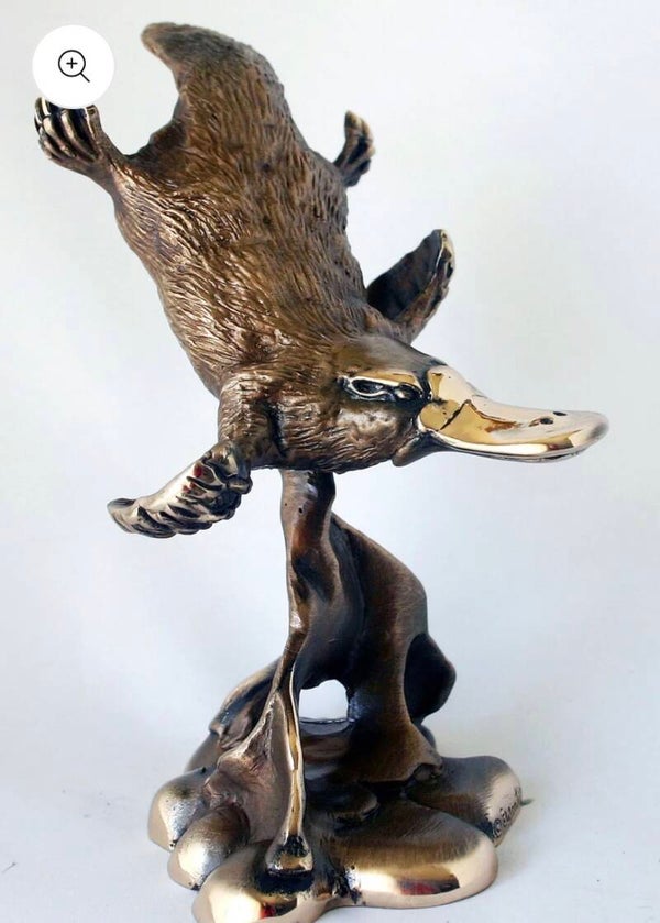 PLATYPUS DIVING ON BASE