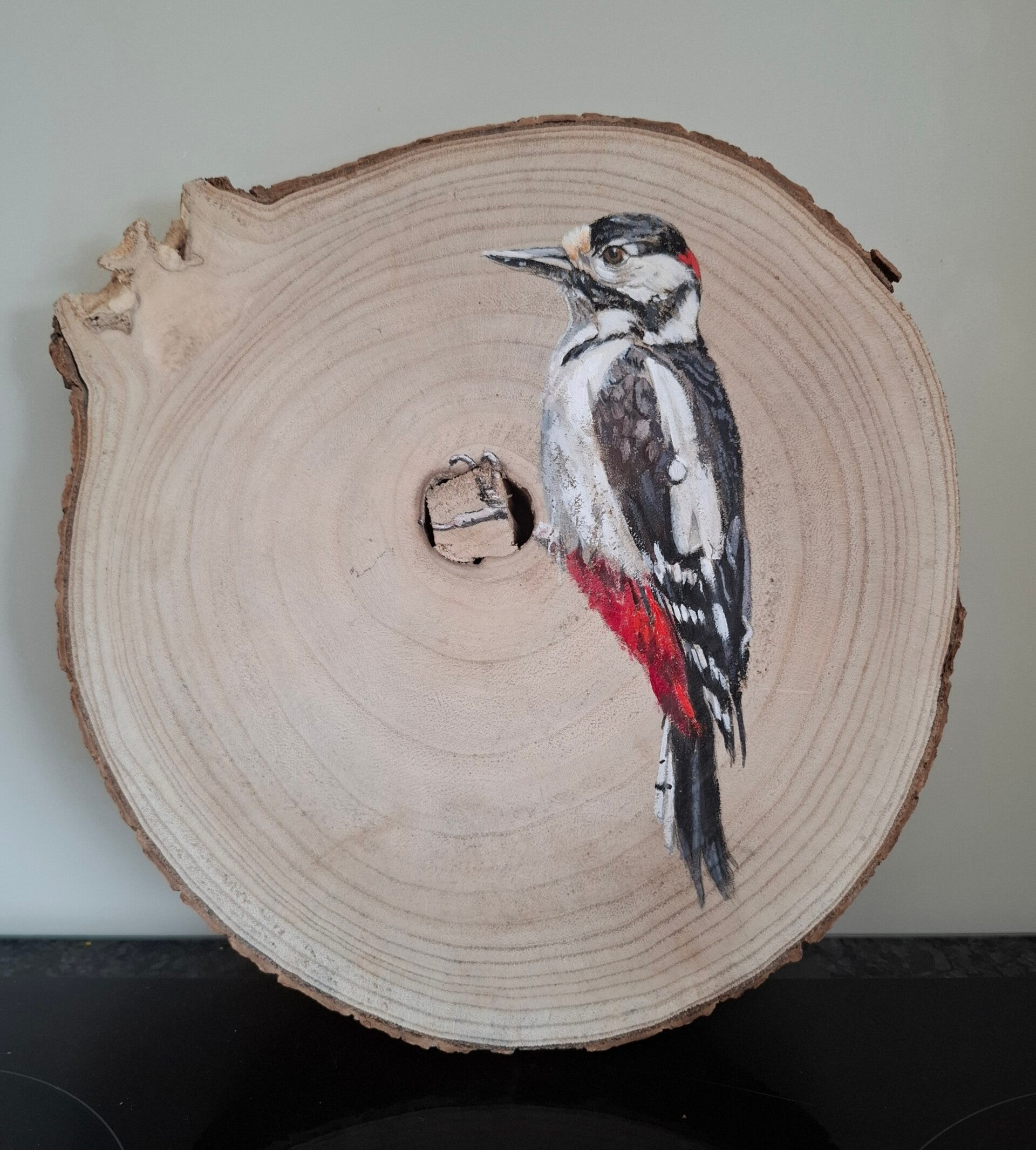 Specht op boomschijf