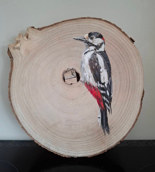 Specht op boomschijf