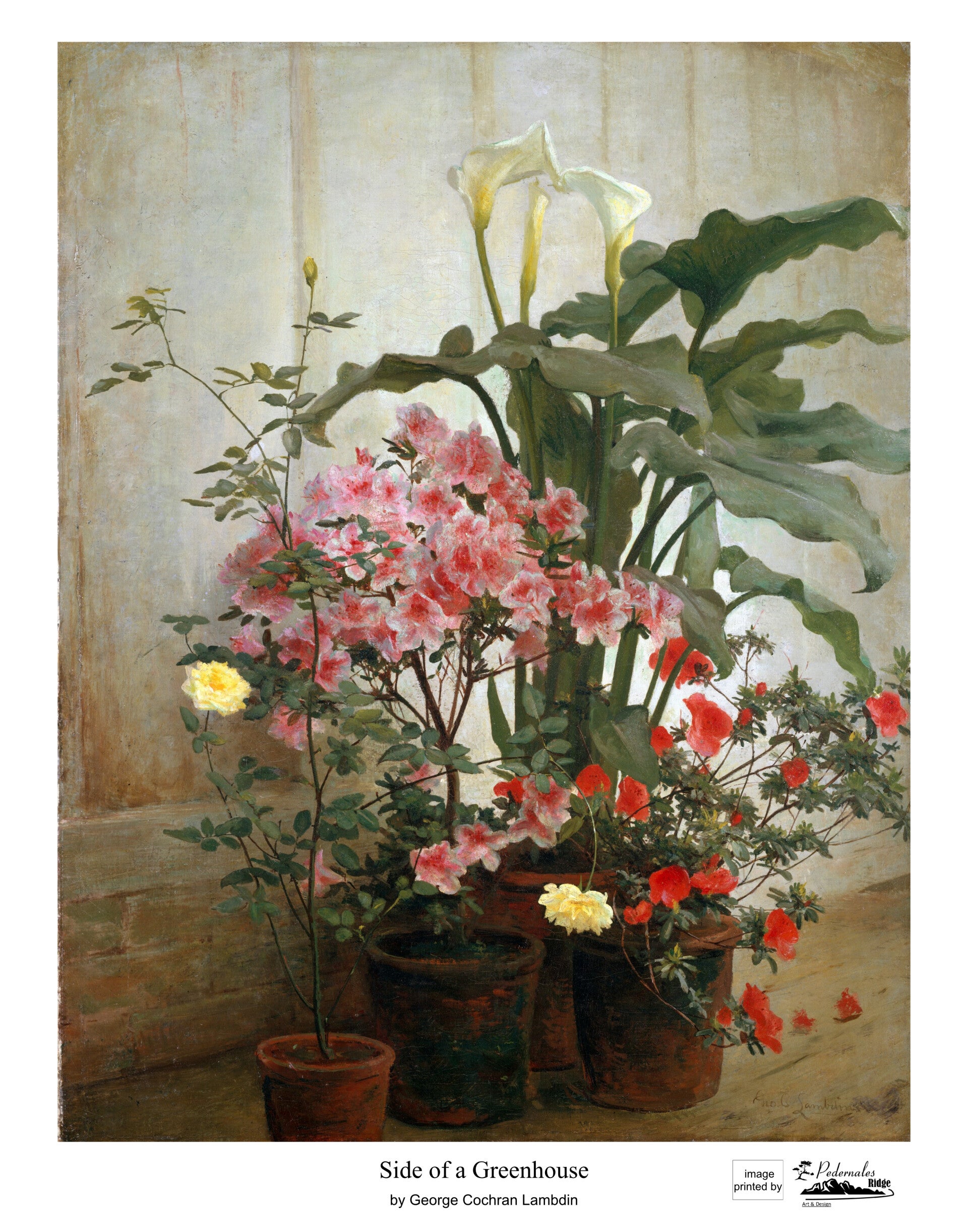 "Side of a Greenhouse" by George Cochran Lambdin - 11 x 14 reproduction print