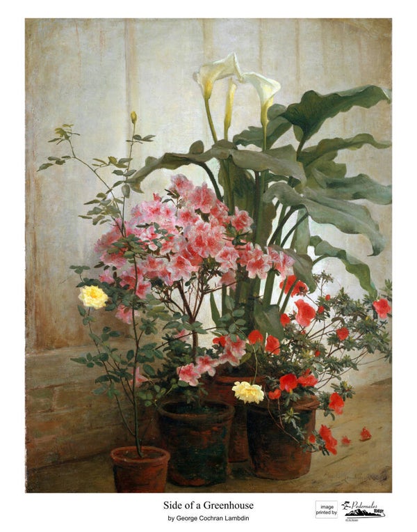"Side of a Greenhouse" by George Cochran Lambdin - 11 x 14 reproduction print