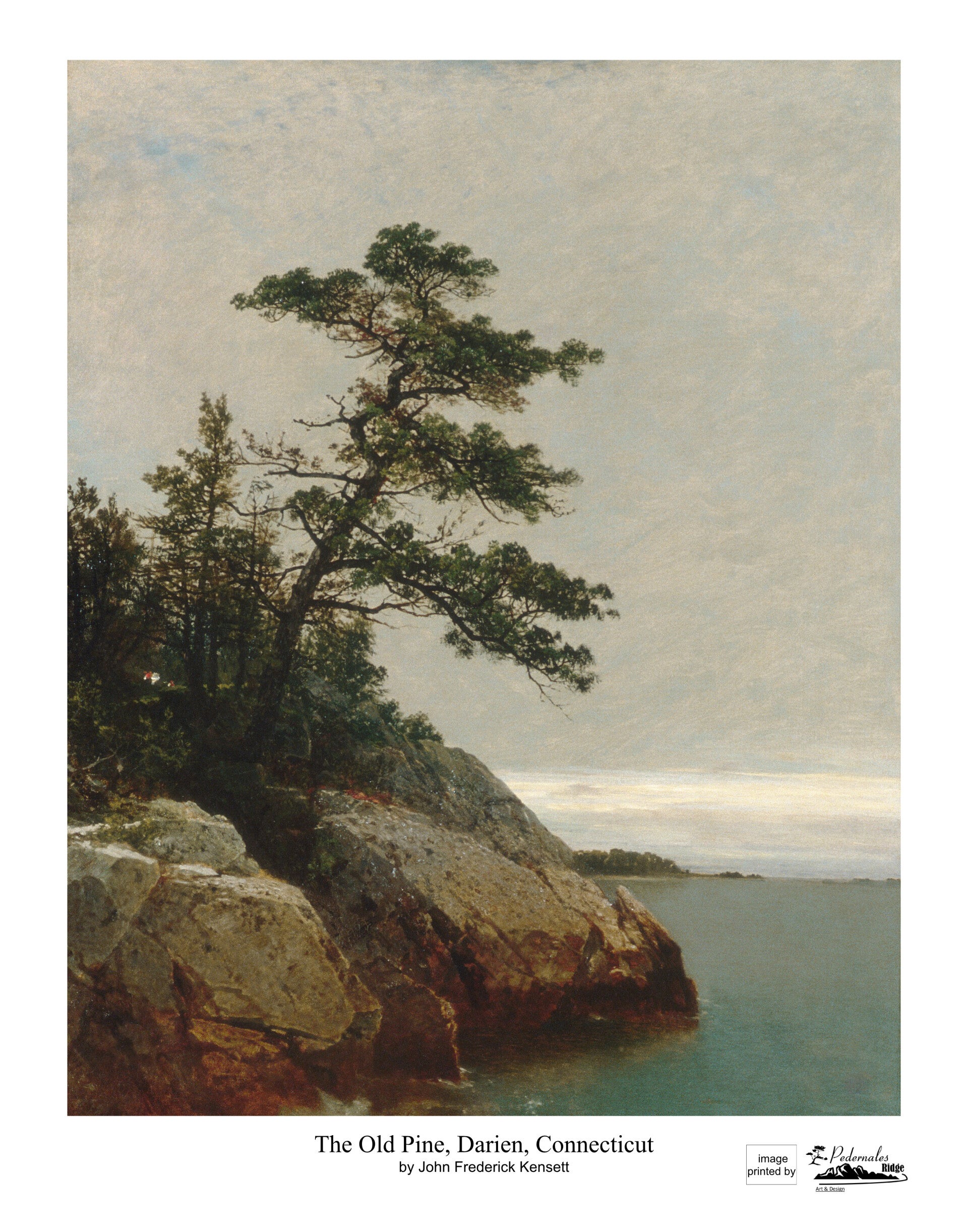 "The Old Pine, Darien, Connecticut" by John Frederick Kensett - 11 x 14 reproduction print