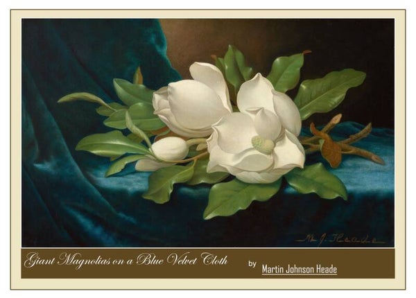"Giant Magnolias on a Blue Velvet Cloth" by Martin Johnson Heade - Fine Art Greeting Card 5 x 7