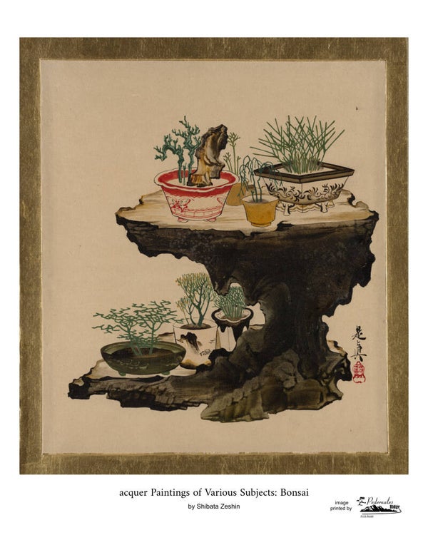 "Lacquer Paintings of Various Subjects: Bonsai" by Shibata Zeshin 11x14 reproduction print
