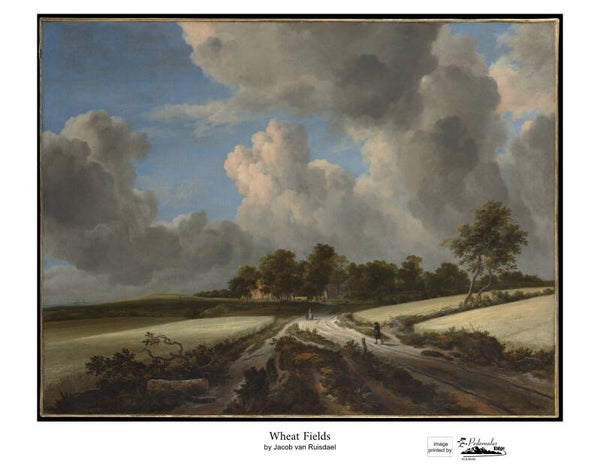 "Wheat Fields" by Jacob van Ruisdael 11x14 reproduction print