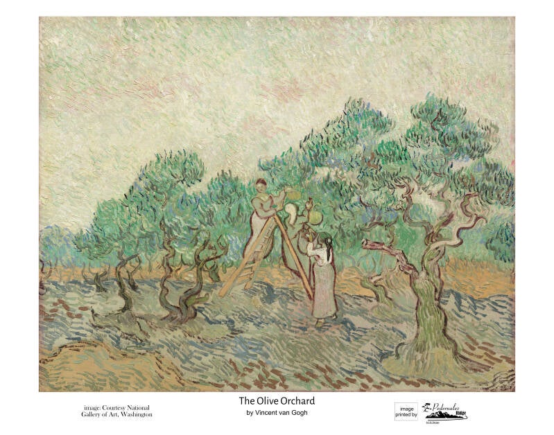 "The Olive Orchard" by Vincent van Gogh