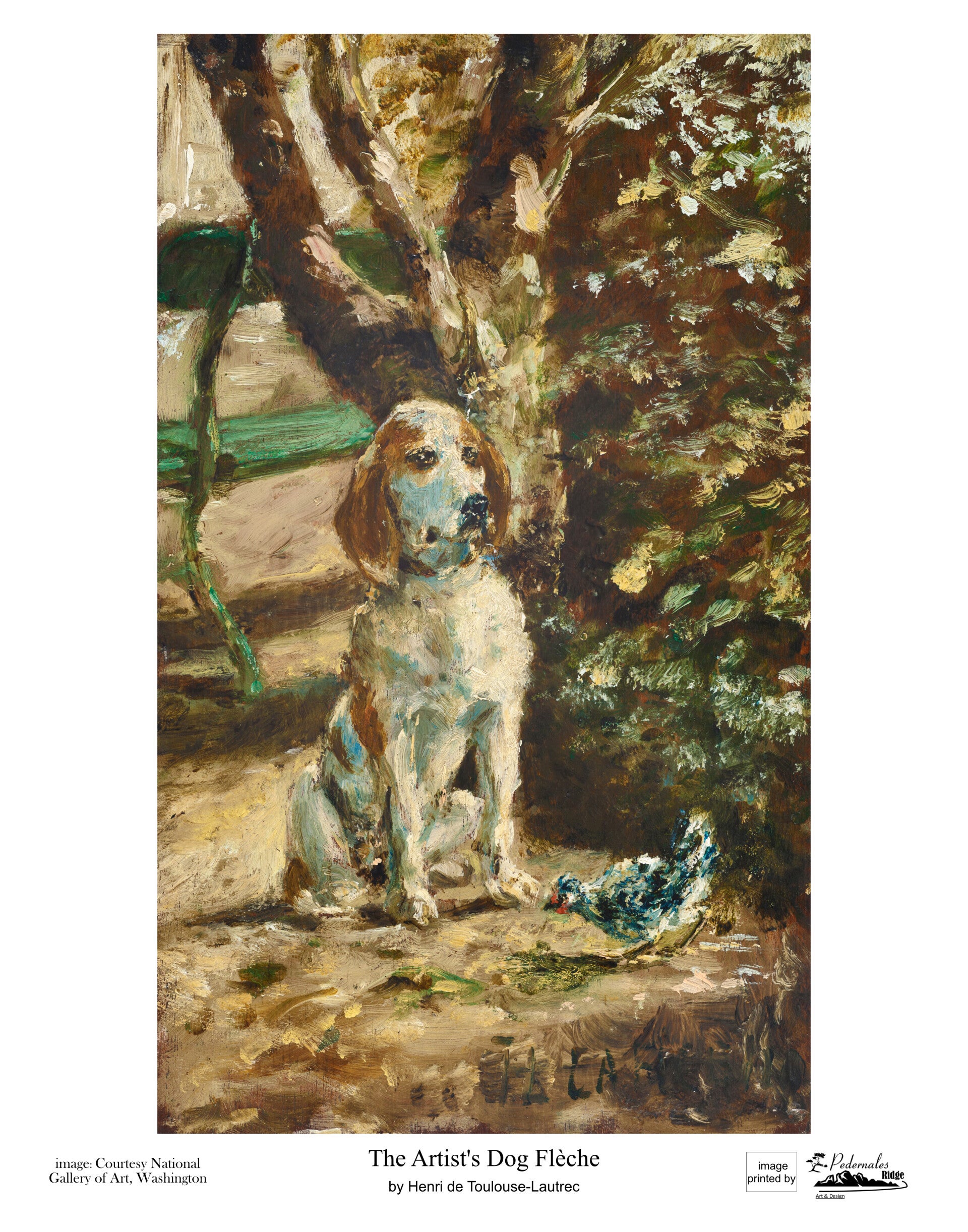 "The Artist's Dog Flèche" by Henri de Toulouse-Lautrec - 11x14 reproduction print