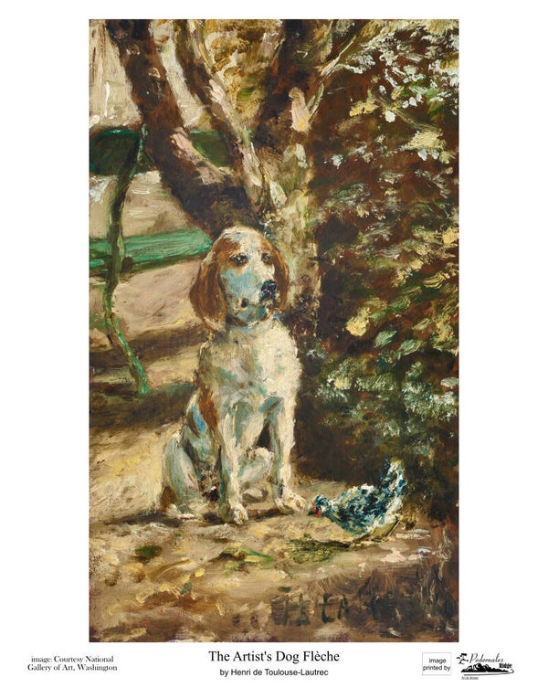 "The Artist's Dog Flèche" by Henri de Toulouse-Lautrec - 11x14 reproduction print