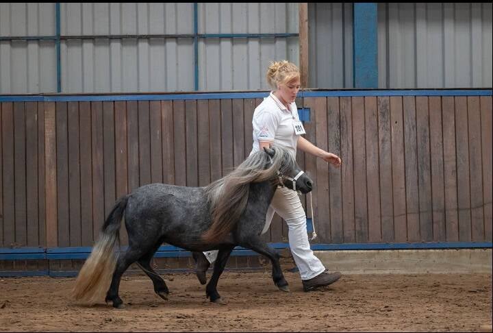 Odette v/d Viersprong 