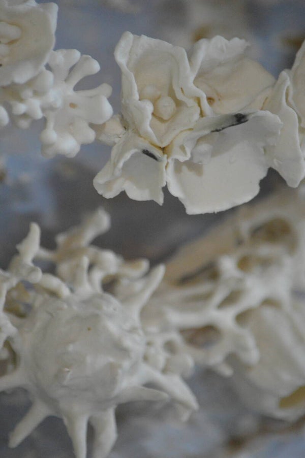 Porcelaine papier - 11 & 12 avril 2026