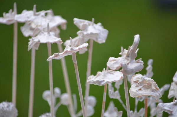 Stage porcelaine papier - du 10 au 13 août 2026