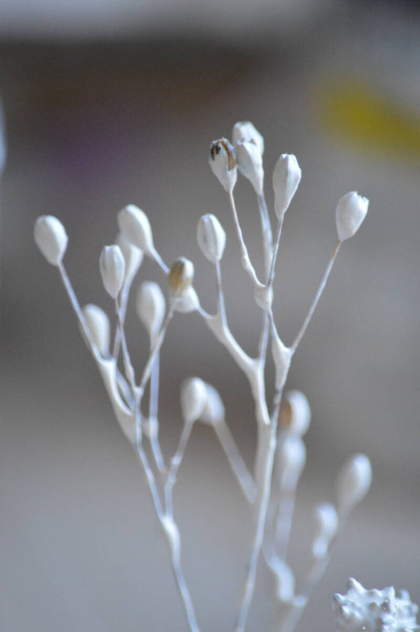 Stage porcelaine papier - du 10 au 13 août 2026