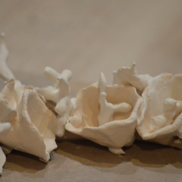 Porcelaine papier - 7 & 8 février 2026