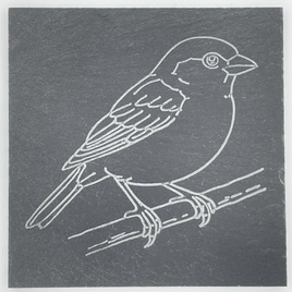 sparrow-slate-standard-cn7ybq.png
