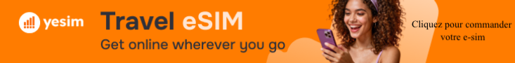 E-sim connexion internationale