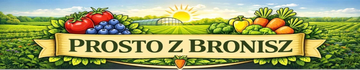 Prostozbronisz.pl