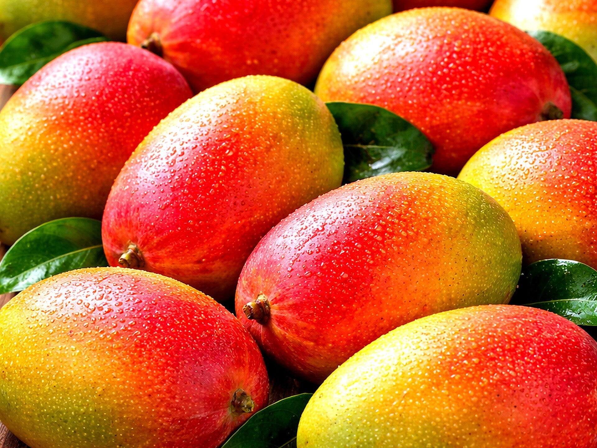 Mango dojrzałe 1 szt (ponad 0,5 kg)