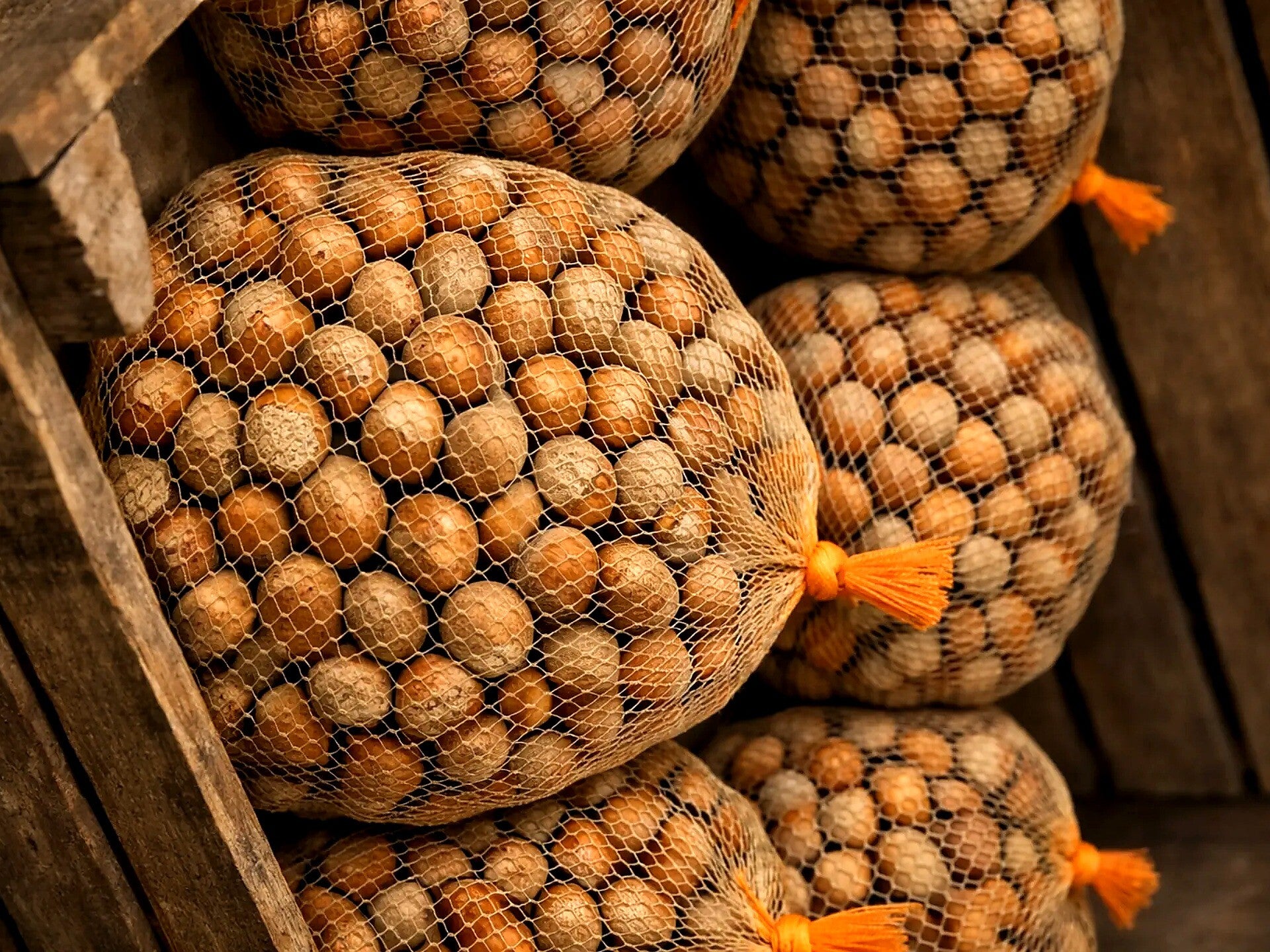 Orzechy laskowe 1 kg