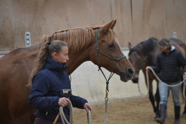 Savoirs éthologiques 1 & 2