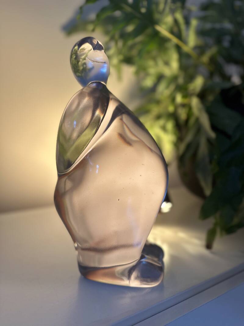 ilContento® Junior II Transparant Blanco