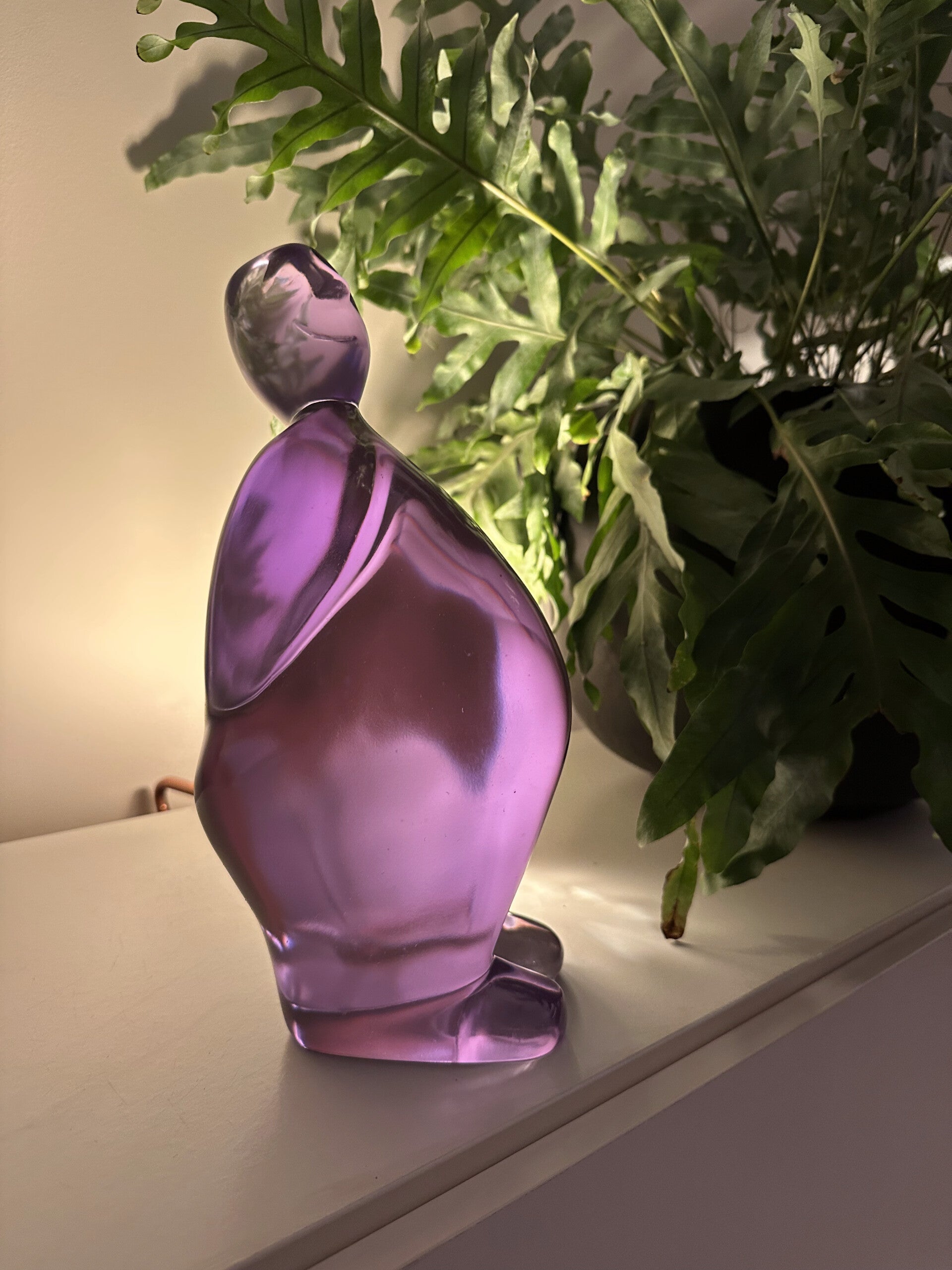 ilContento® Junior II Transparant Purple