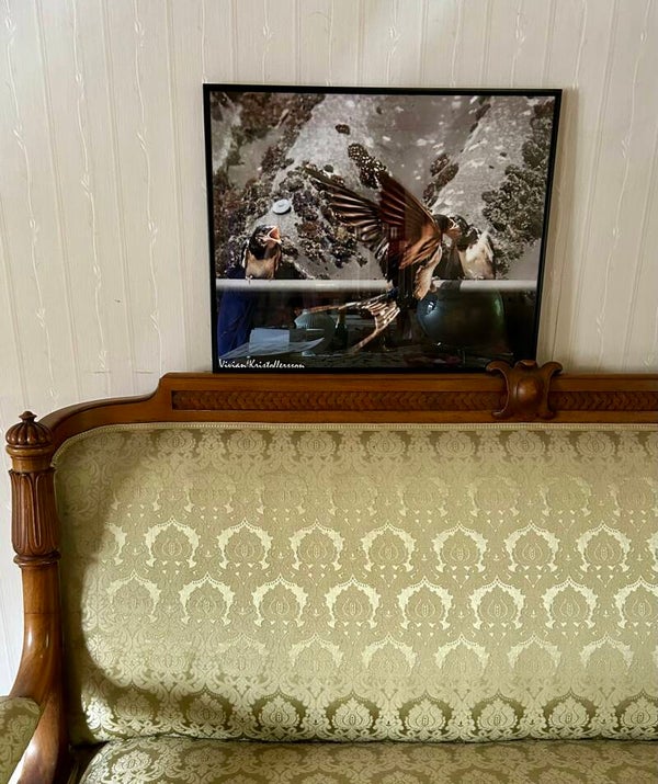 Fotoposter