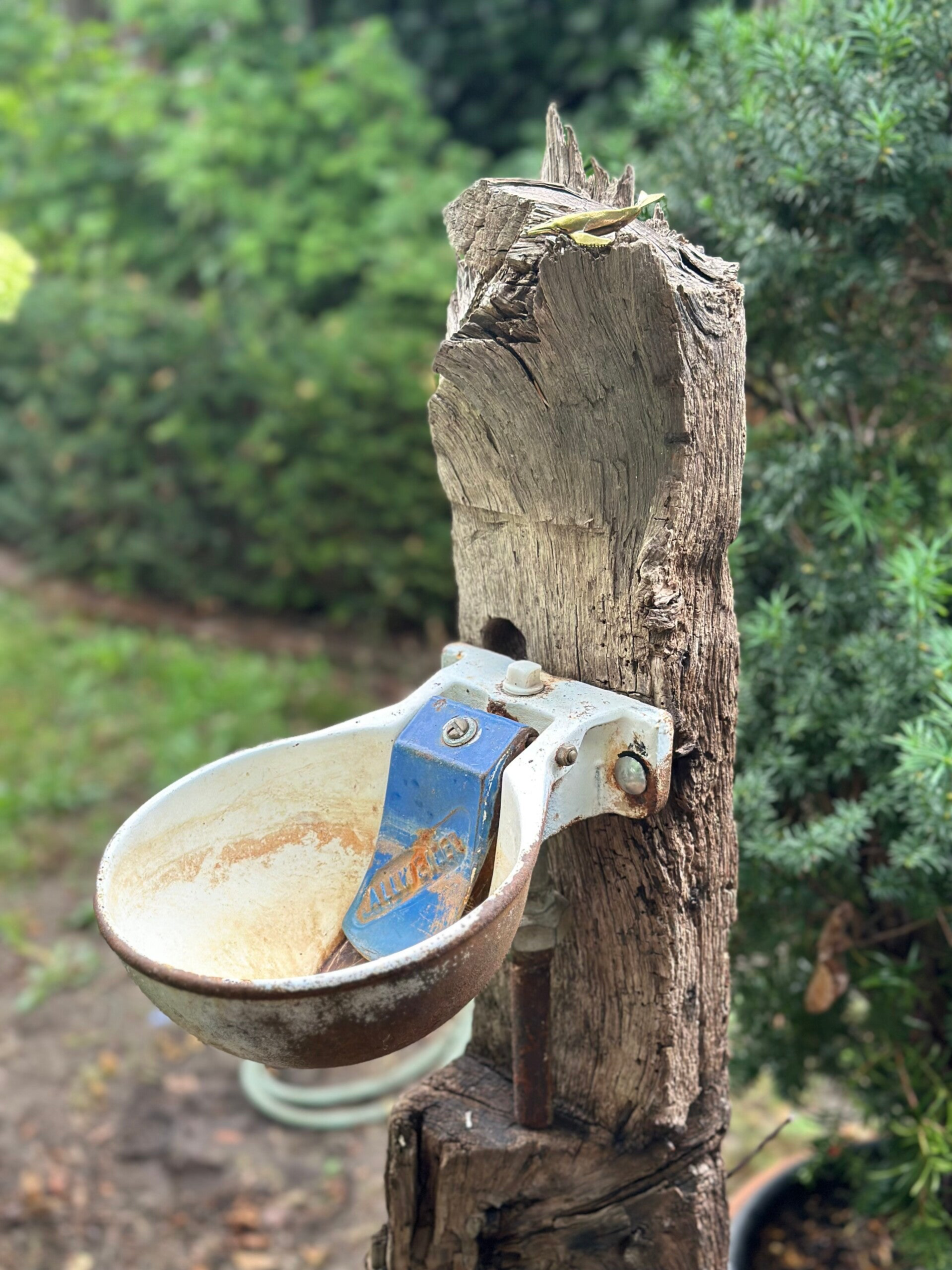 Vintage Garden Unikat Vogeltränke