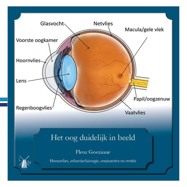 Het oog duidelijk in beeld. Hoornvlies, refractiechirurgie, conjunctiva en uveïtis