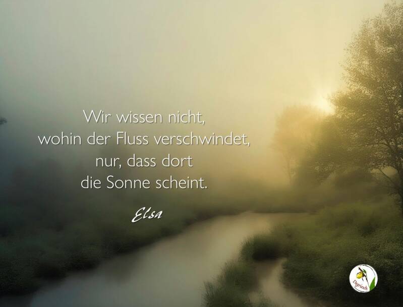 Ein Fluss zieht durch Nebel dazu ein poesietherapeutischer Aphorismus von Degriesch
