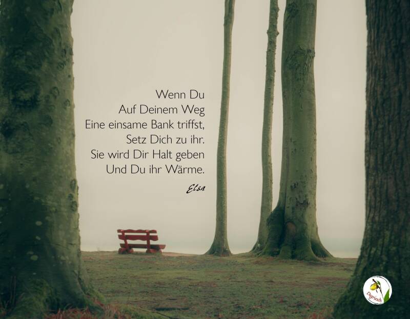 Eine rote Bank zwischen hohen, astlosen Bäumen im Nebel, dazu ein poesietherapeutischer Aphorismus von Degriesch